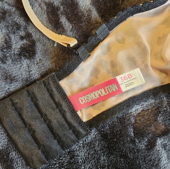 Leopard Bra - Picture 2 of 4